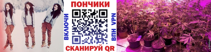 Где купить Плавск АМФЕТАМИН  Канабис  Cocaine  Alpha PVP 